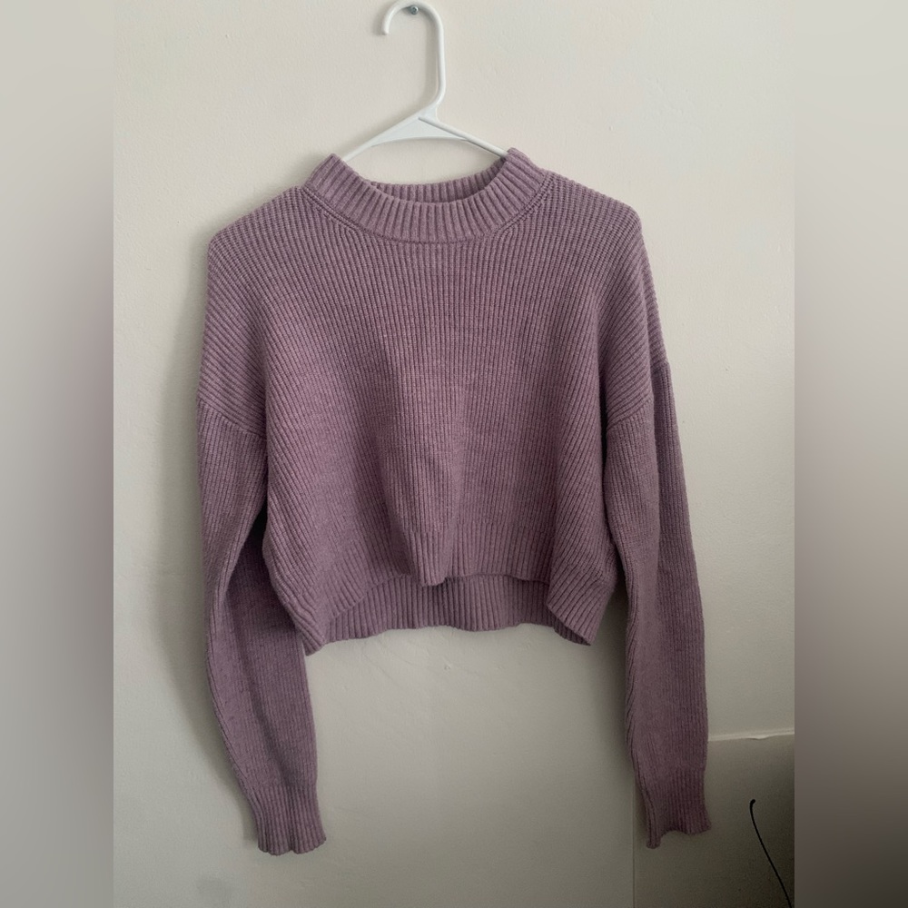 Lulus cropped sweater